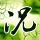 敦刻尔克